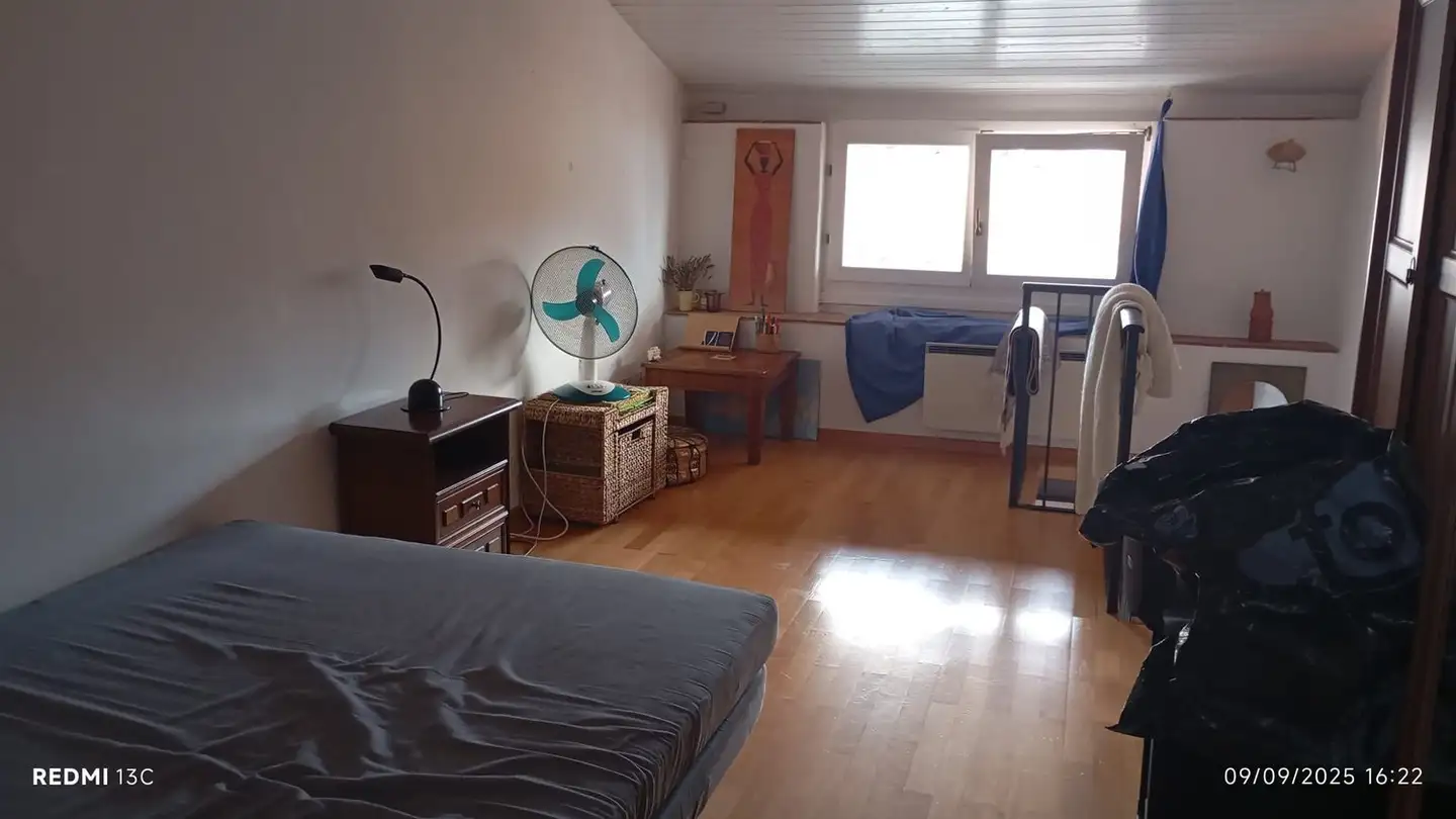 Loft for rent - Via Cantine Di Mezzo, 6815 Melide - Photo 3