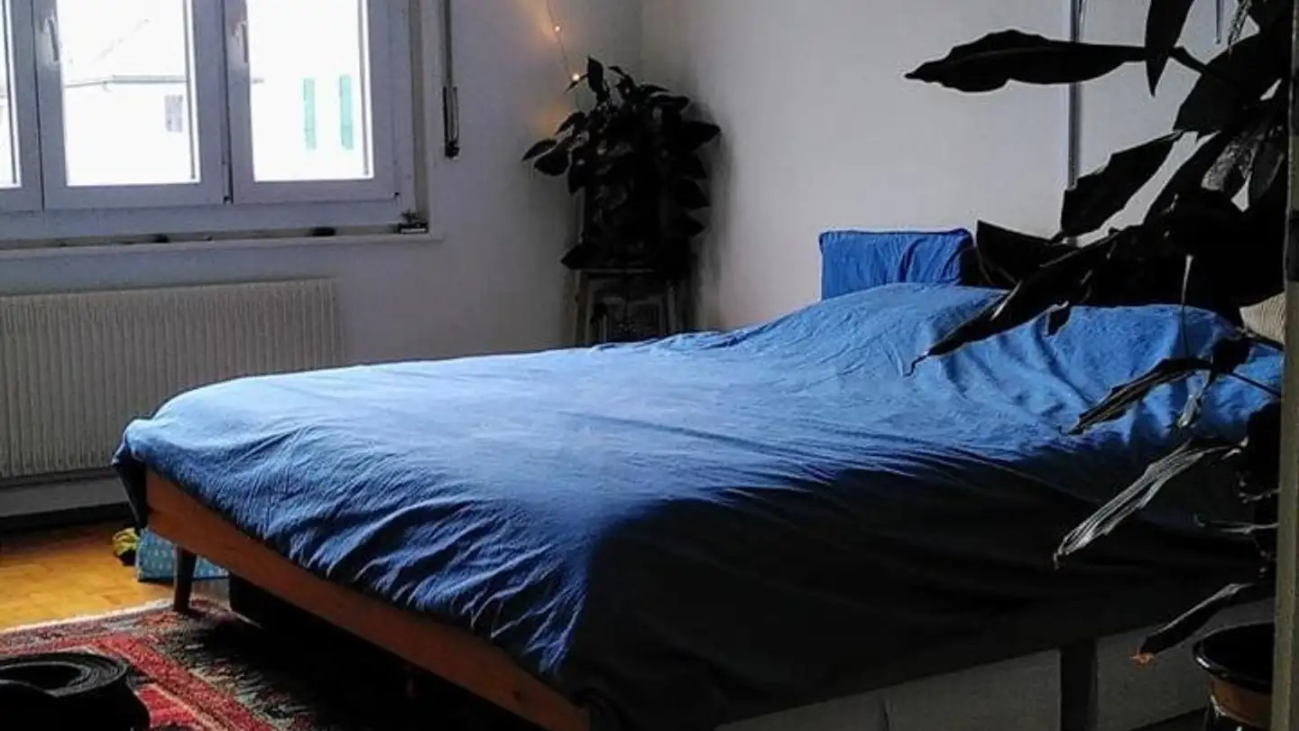 Single room for rent - Chemin Des Allières, 1012 Lausanne - Photo 2