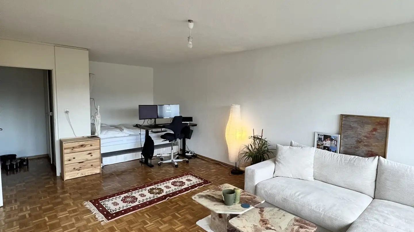 Furnished apartment for rent - 8307 Effretikon - Photo 3