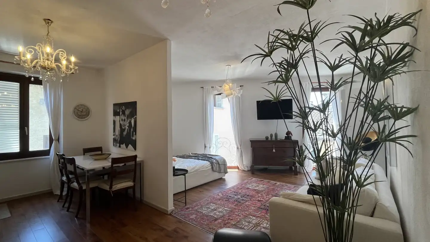 Appartement à louer - 6900 Massagno