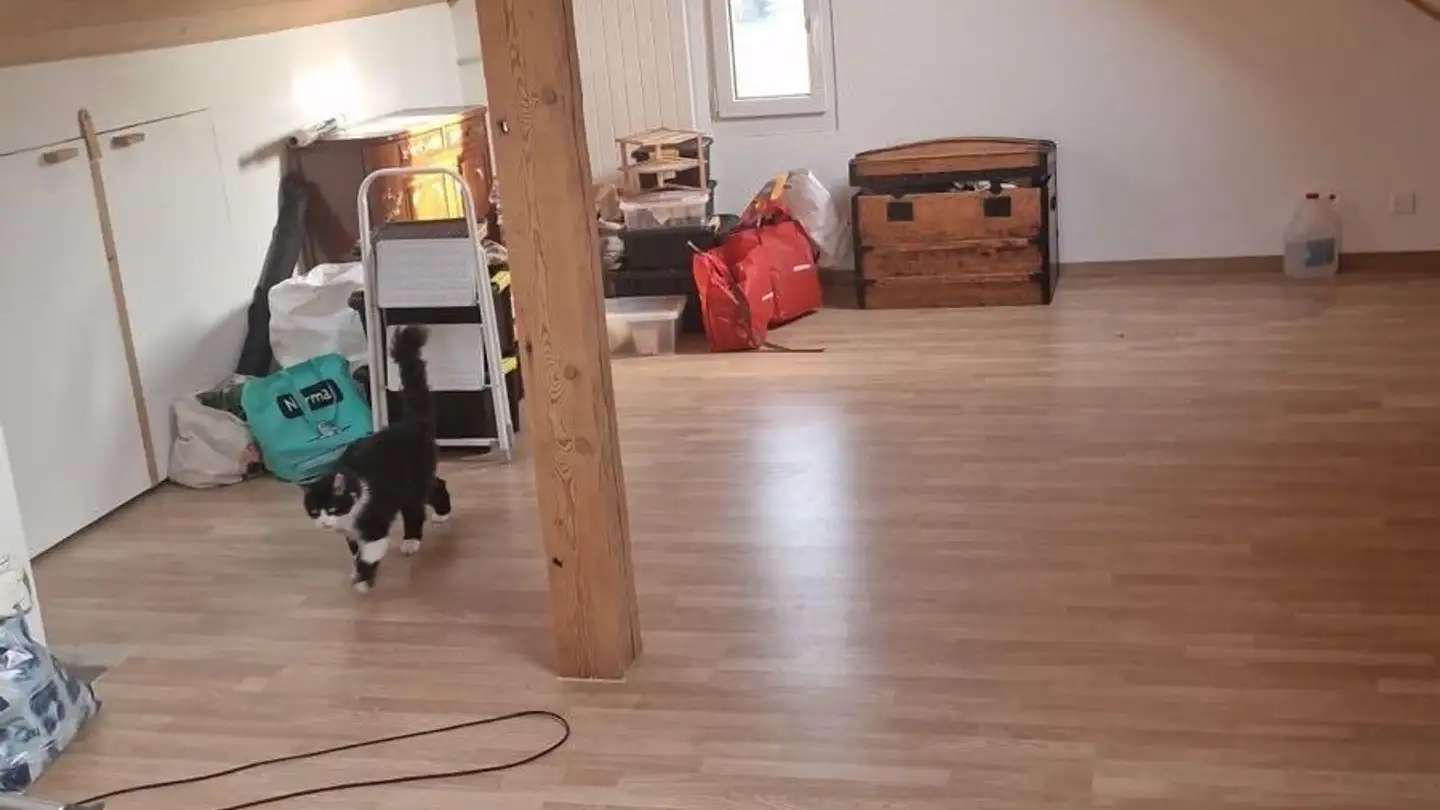 Casa singola in affitto - Chemin Du Sapalé 20, 1733 Treyvaux - Photo 2