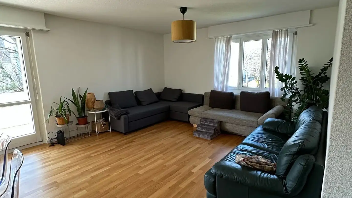 Chambre à louer - Lättenwiesenstrasse 24, 8152 Glattbrugg - Photo 2