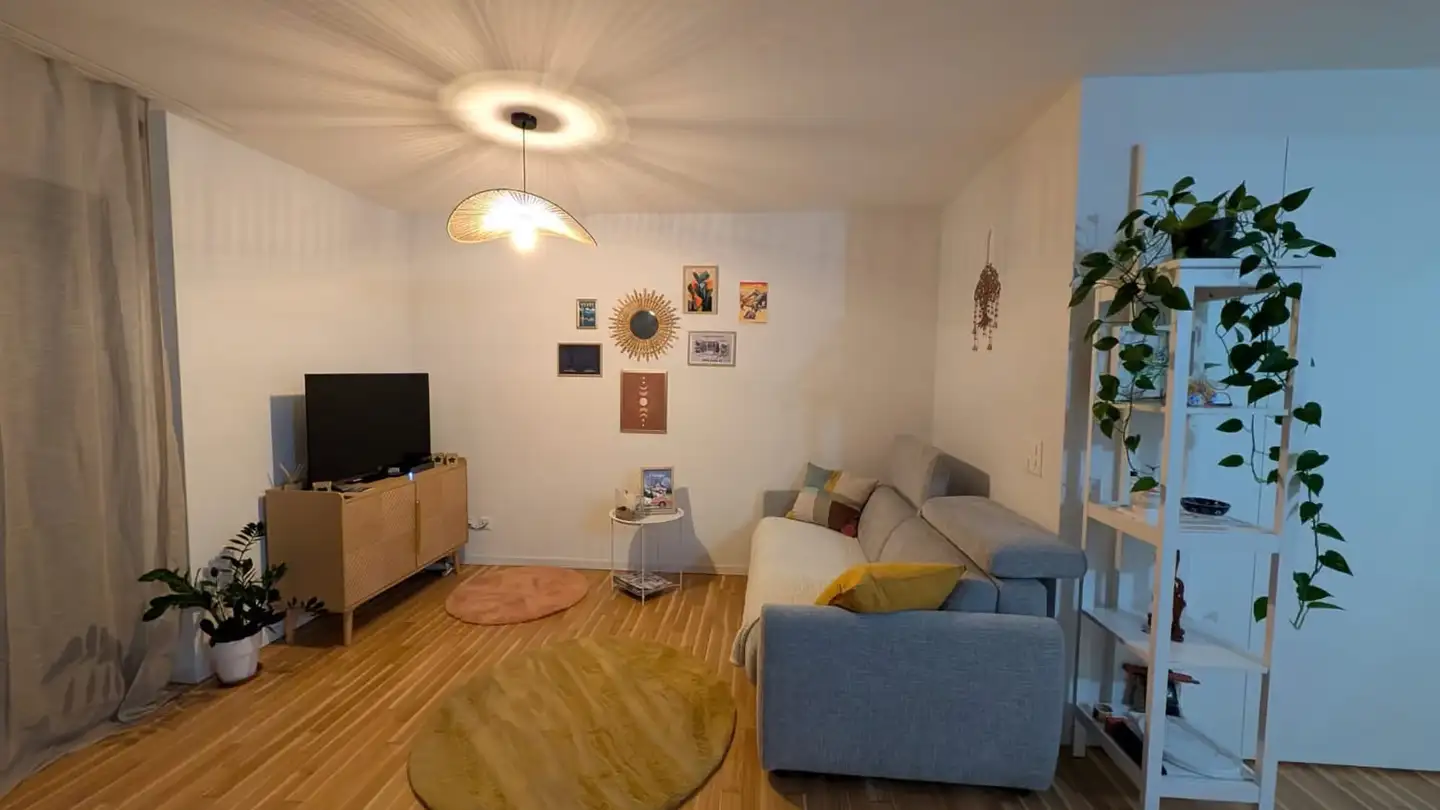 Appartamento in affitto - 1800 Vevey