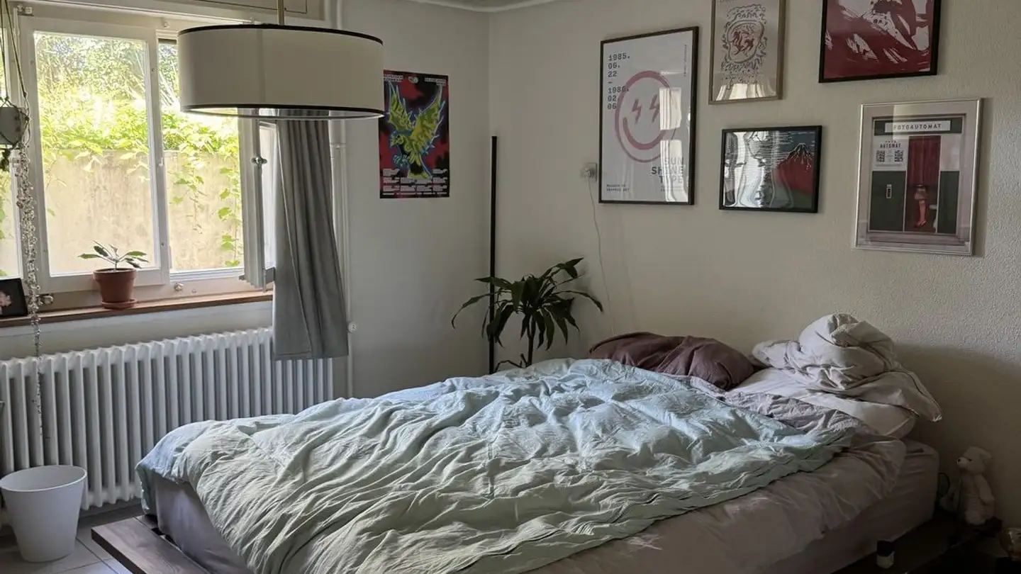 Furnished apartment for rent - Lachenweg 20, 3604 Thun