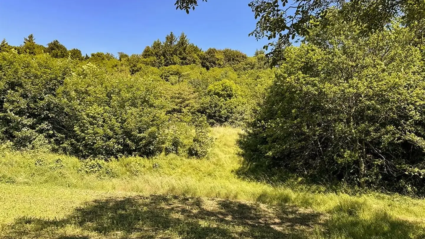 Einfamilienhaus kaufen - 1172 Bougy-Villars