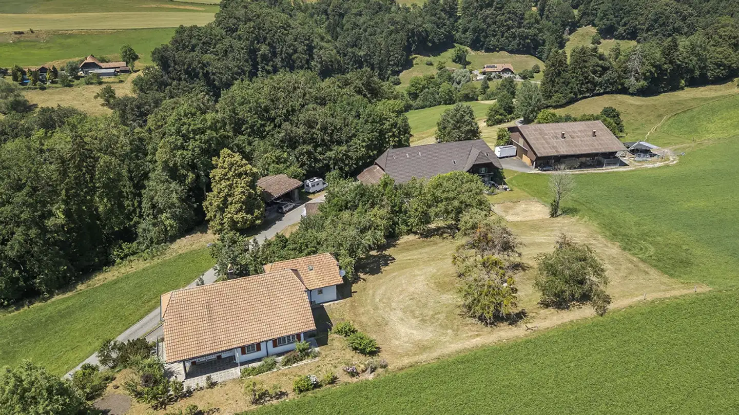 Landwirtschaftsbetrieb kaufen - Feld, 3204 Rosshäusern