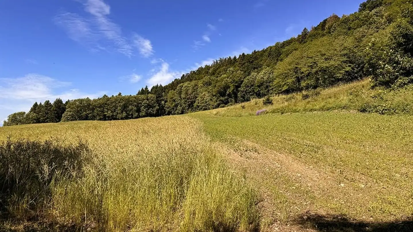 Single house for sale - 1172 Bougy-Villars - Photo 3