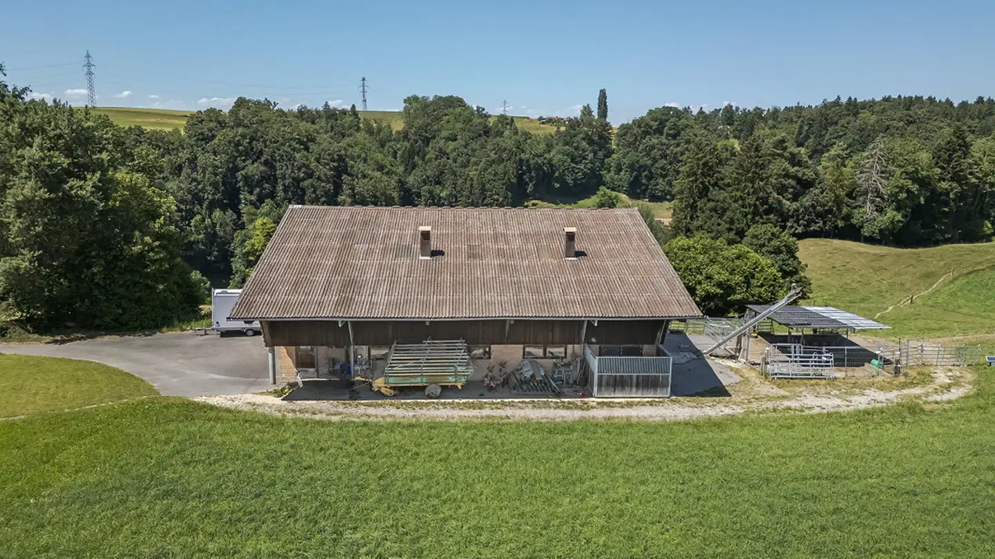 Landwirtschaftsbetrieb kaufen - Feld, 3204 Rosshäusern - Foto 3