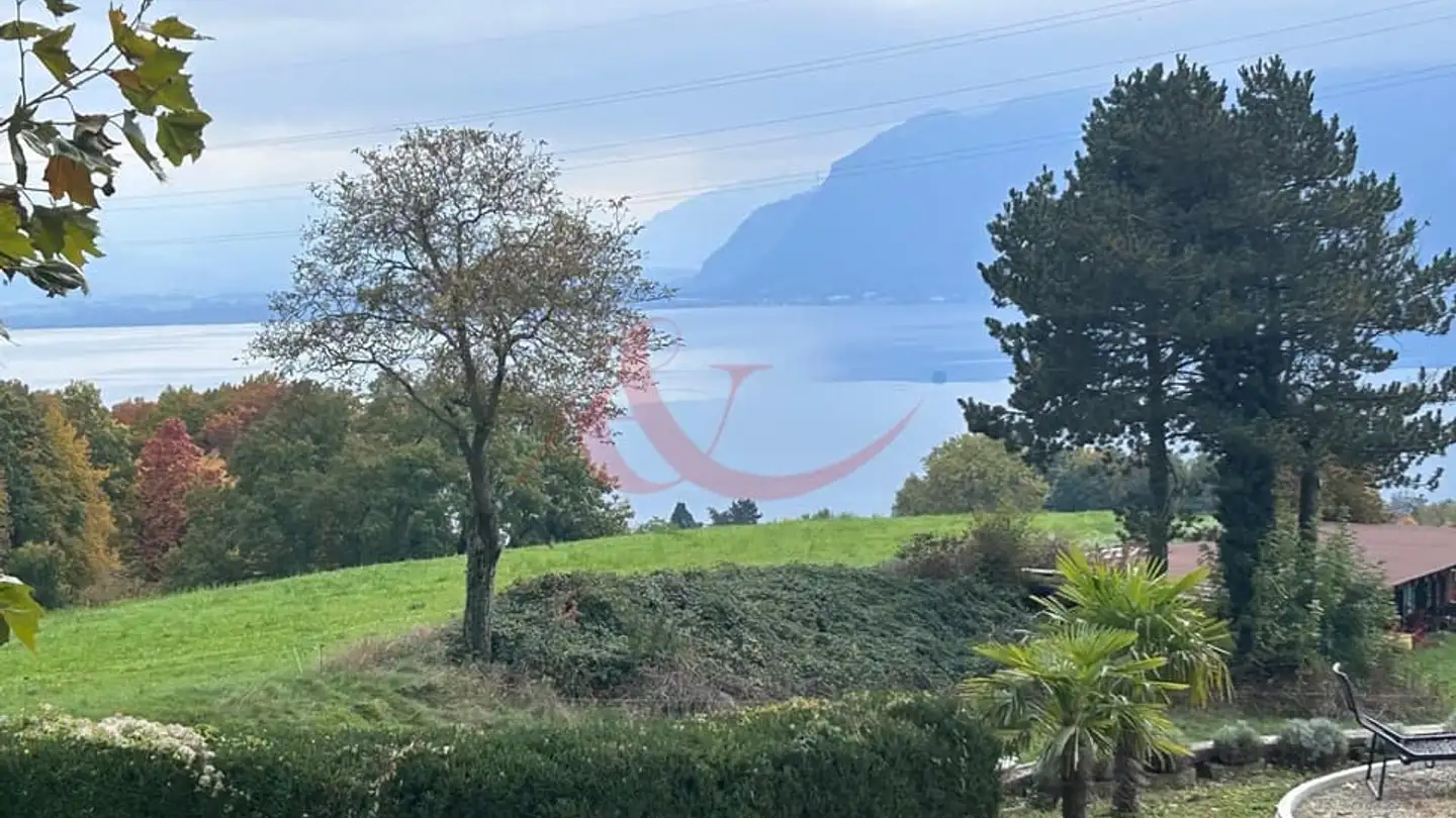 Appartement à louer - 1071 Chexbres