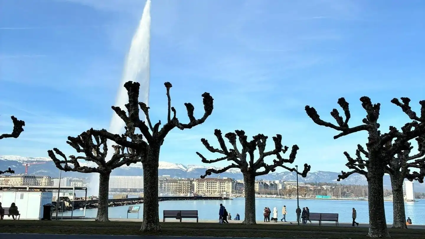 Bürofläche mieten - Quai Gustave- Ador 30, 1207 Genève