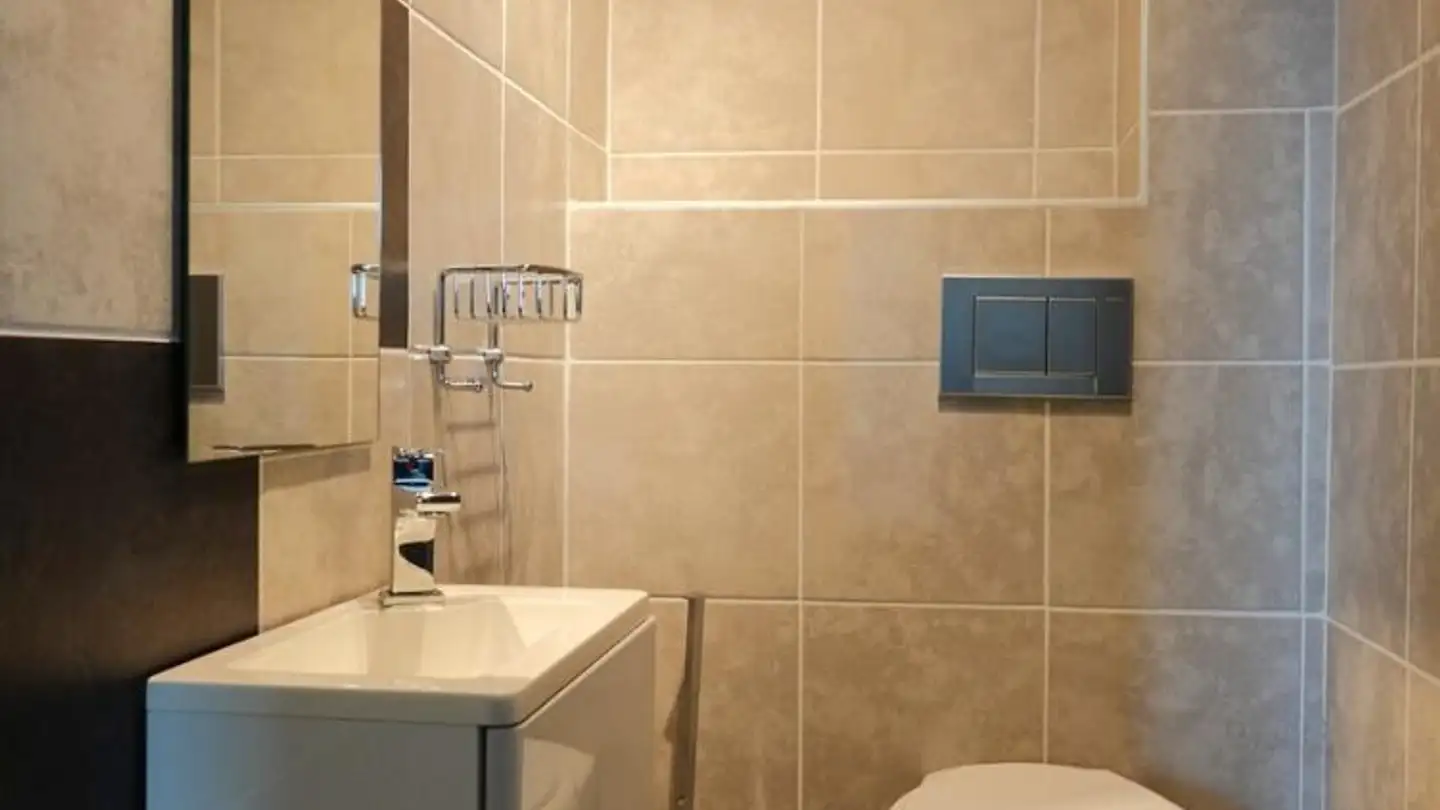 Chalet for sale - 1895 Vionnaz - Photo 3