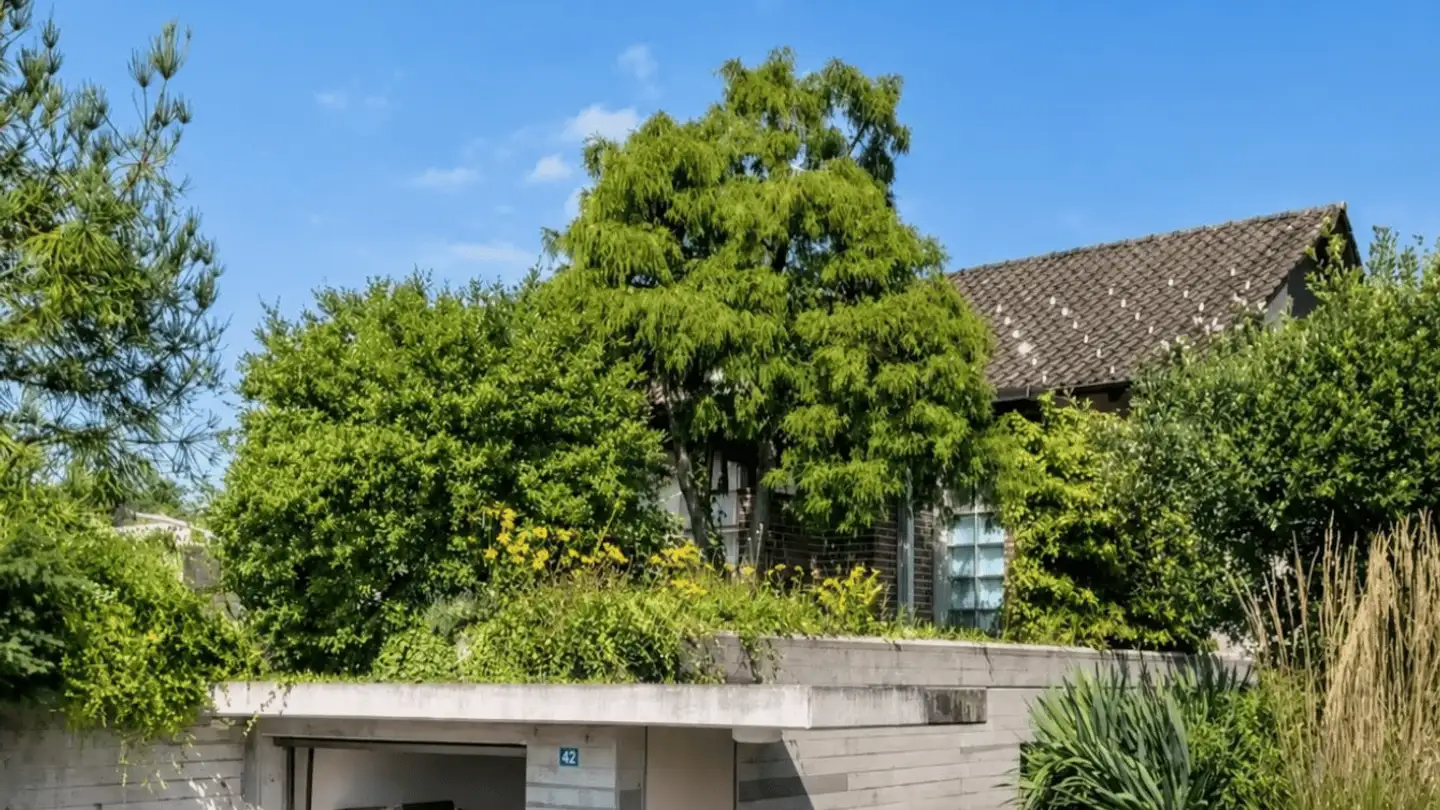 Maison individuelle à vendre - Alpenblickstrasse 42, 8630 Rüti ZH