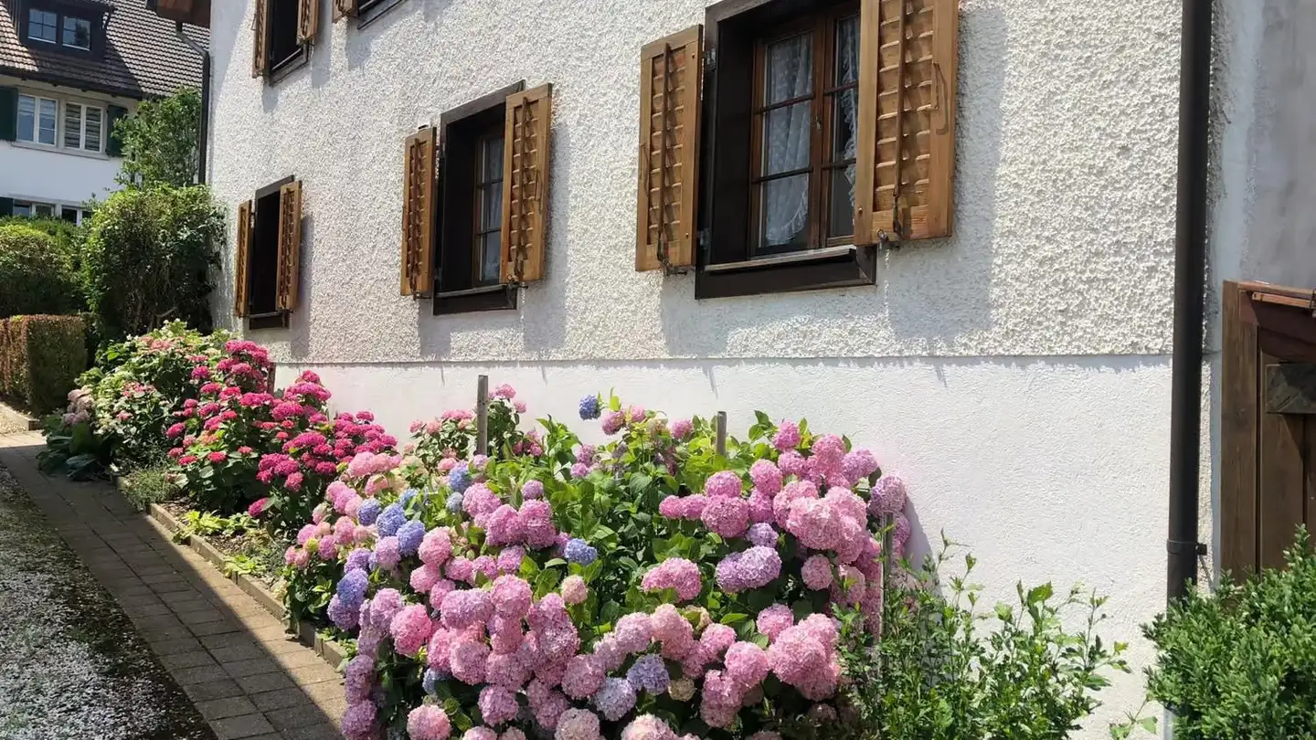 Farm for rent - 8956 Killwangen - Photo 3