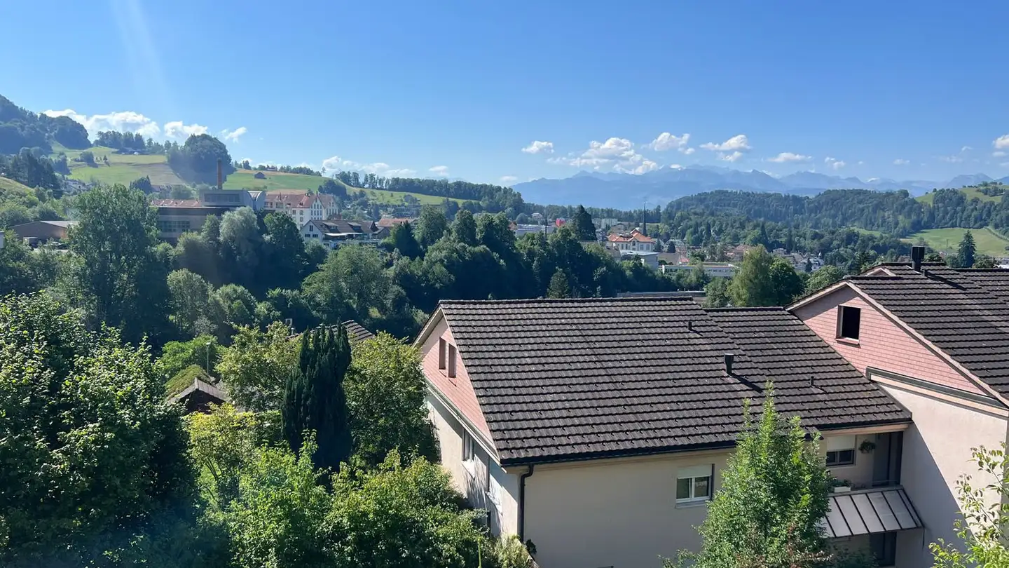 Appartement à vendre - Dieterswilerstrasse 11, 8636 Wald ZH - Photo 2