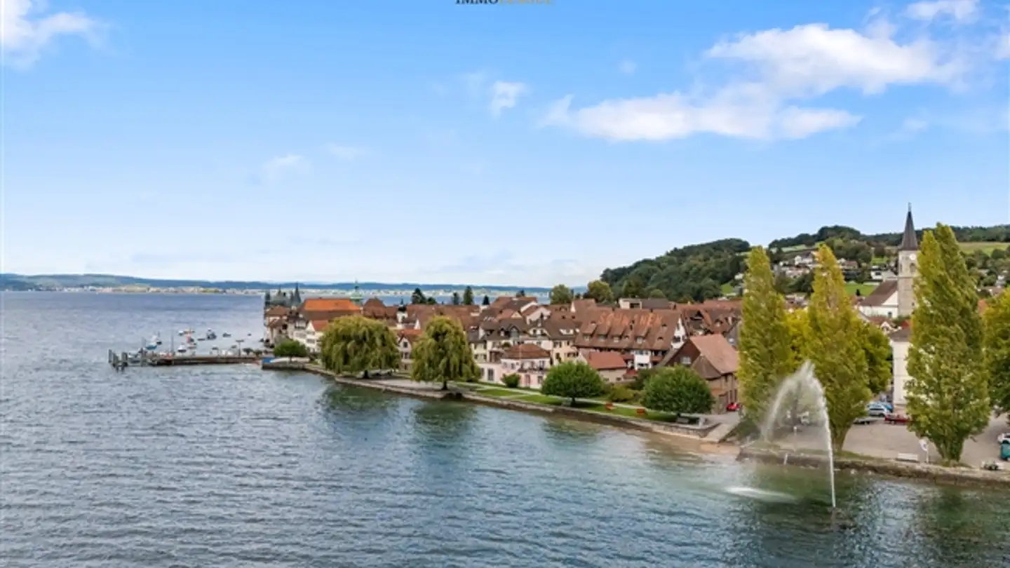 Maison individuelle à vendre - Kirchgasse 15, 8266 Steckborn - Photo 4