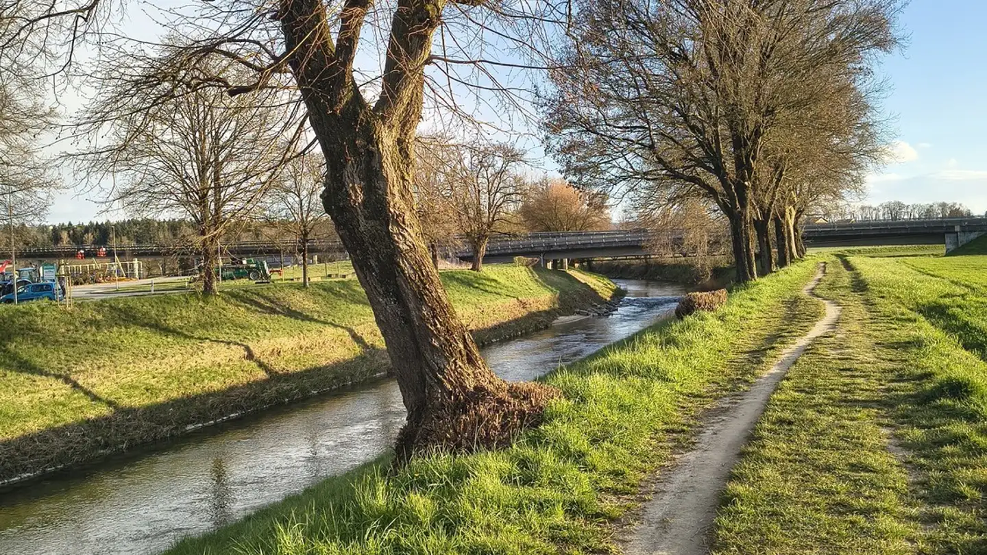 Stanza singola in affitto - 1530 Payerne - Foto 2