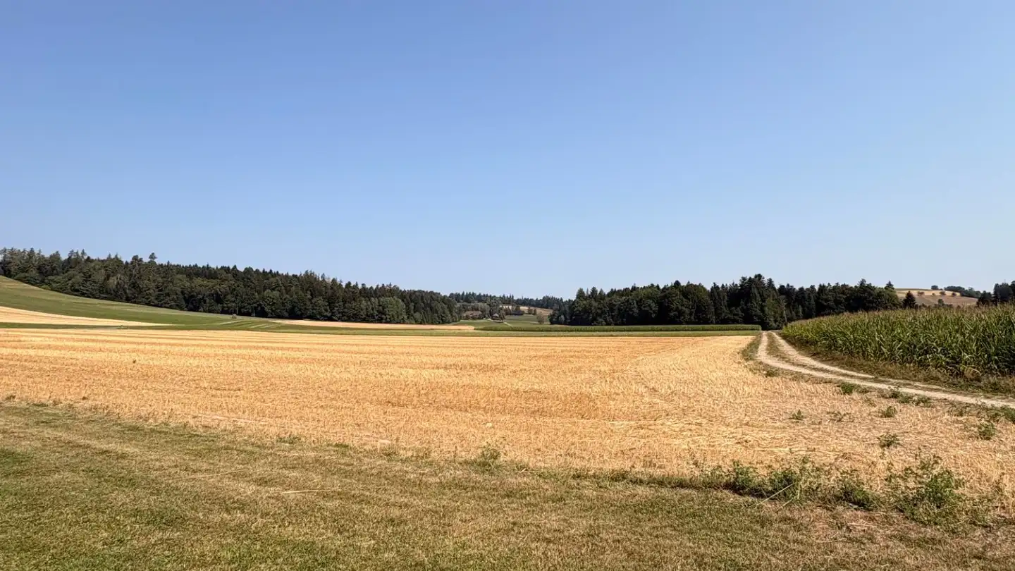 Attico in affitto - Ibachstrasse 28, 4950 Huttwil - Foto 3