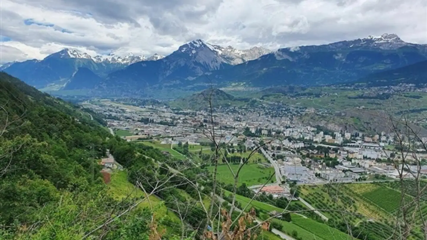 Agricultural business for sale - 1950 Sion - Photo 2