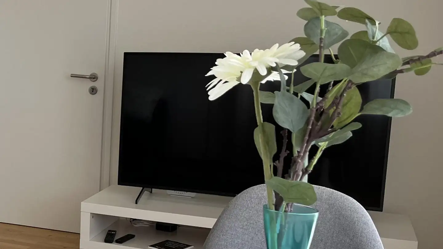 Furnished apartment for rent - Dianastrasse 15, 9000 St. Gallen - Photo 2