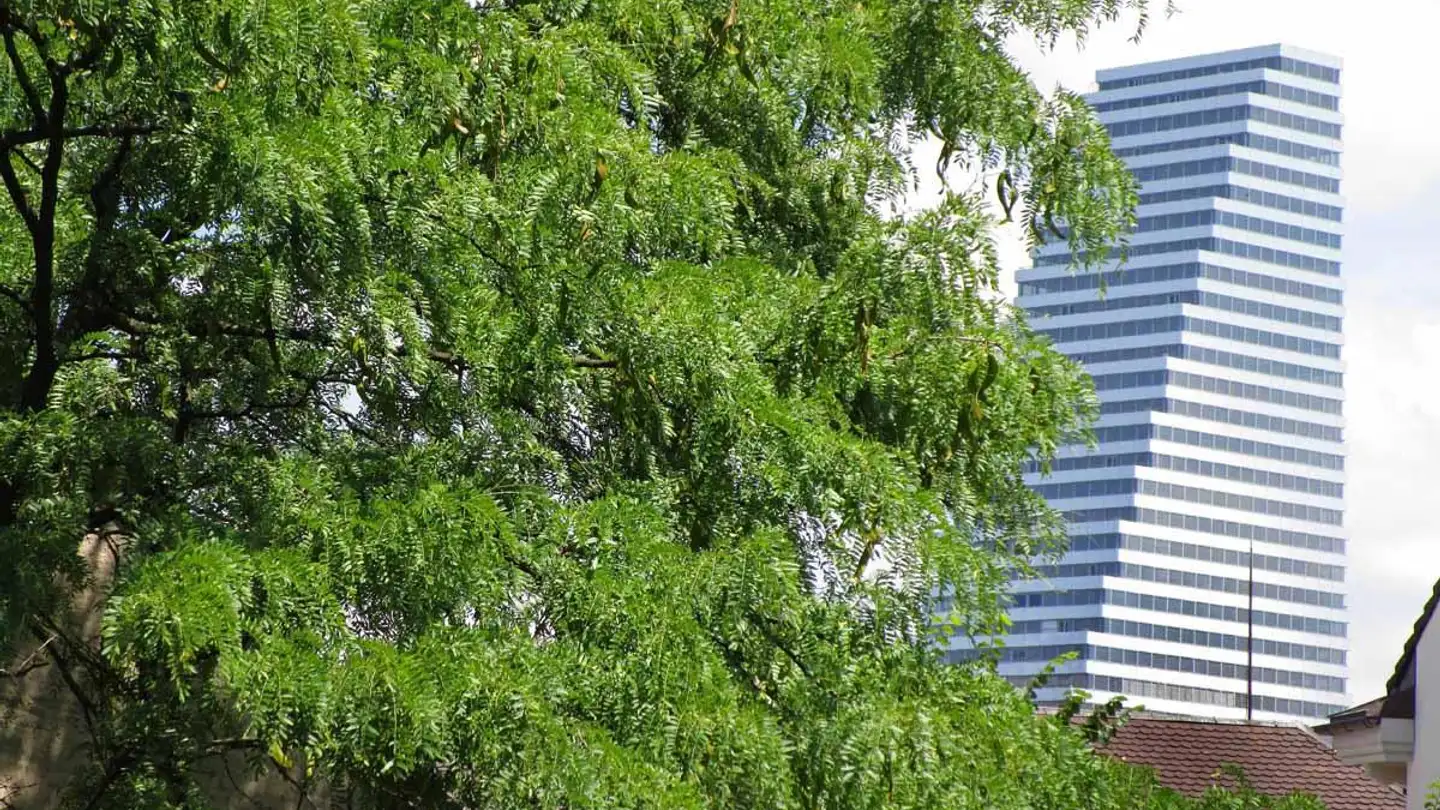 Furnished apartment for rent - Aeschenvorstadt, 4051 Basel