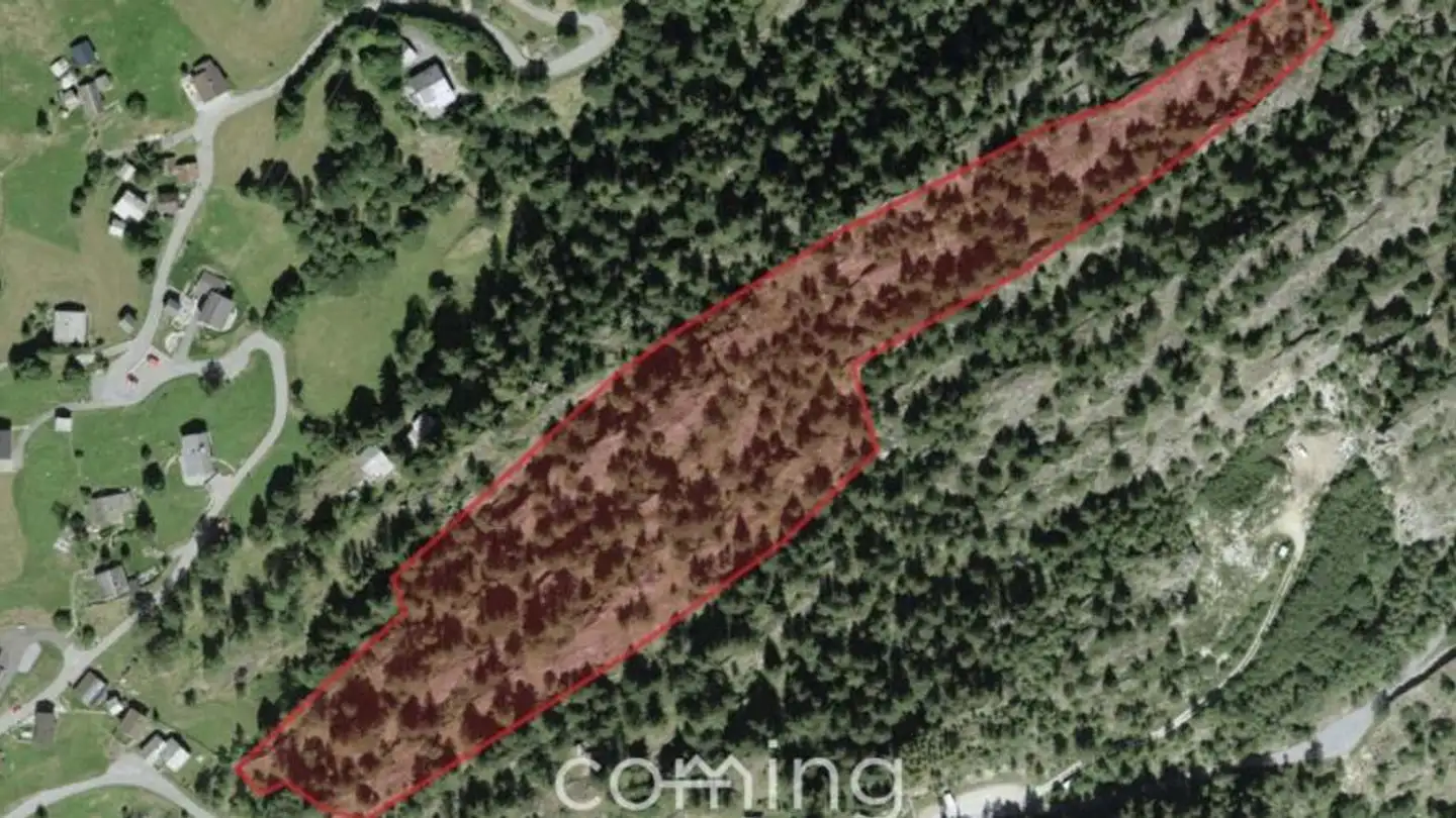 Terrain constructible à vendre - 3914 Blatten b. Naters