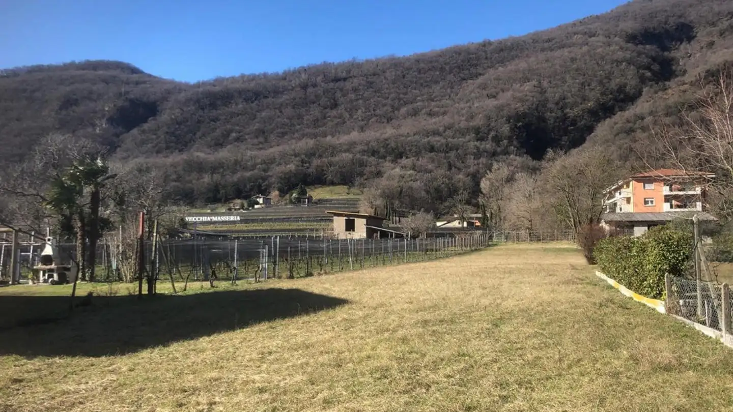 Constructible plot for sale - 6826 Riva San Vitale