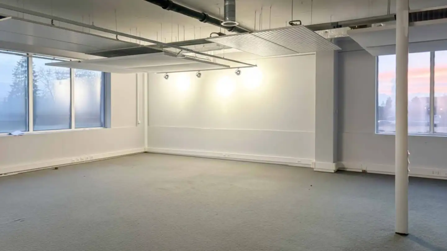 Commercial for rent - Rue Emma- Kammacher 9, 1217 Meyrin