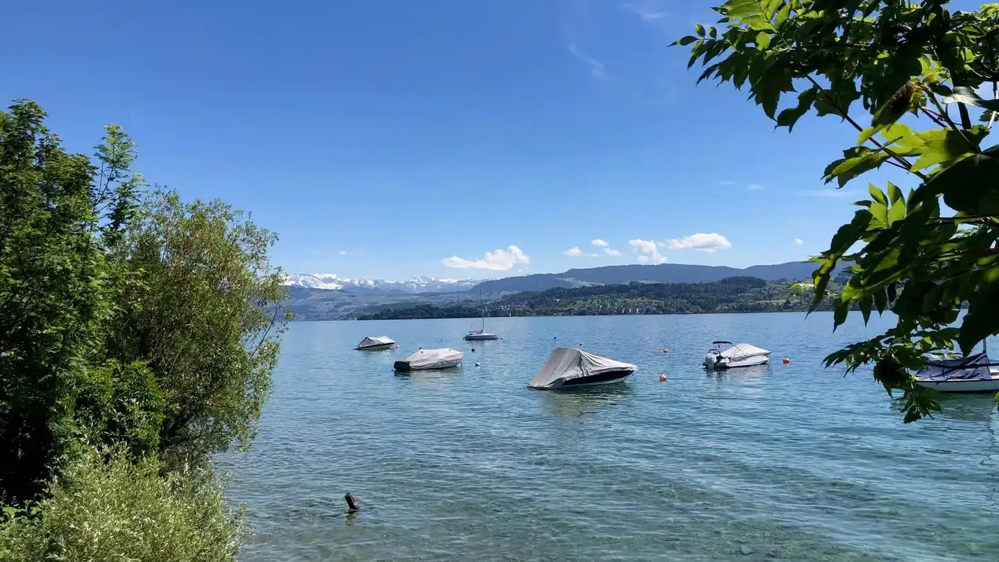 Single house for sale - 8703 Erlenbach ZH