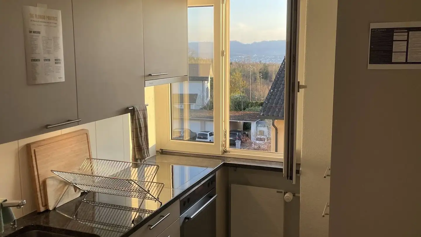 Appartamento in affitto - Carl-Spitteler-Strasse 50, 8053 Zürich - Foto 3