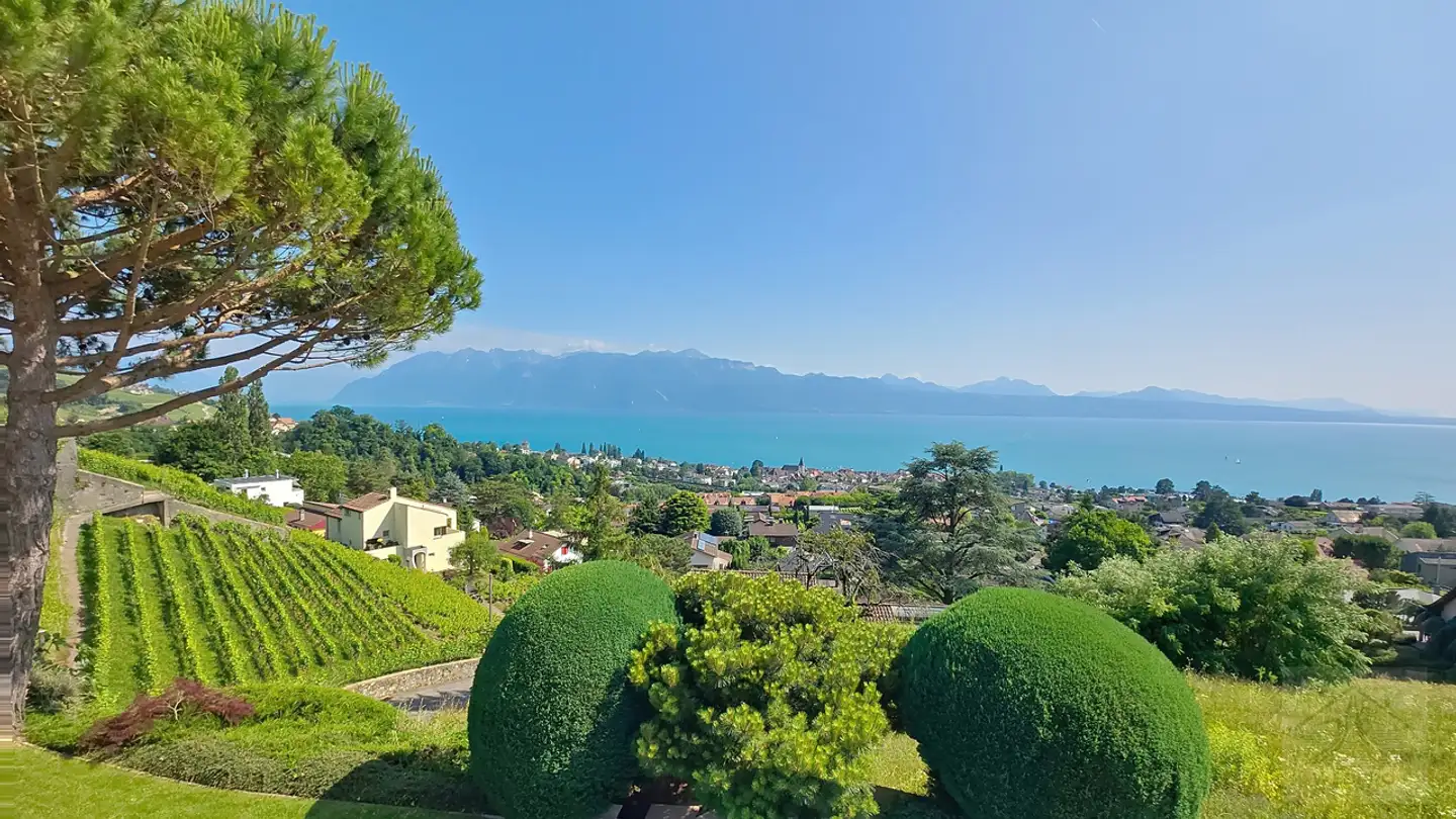 Maison individuelle à vendre - 1095 Lutry