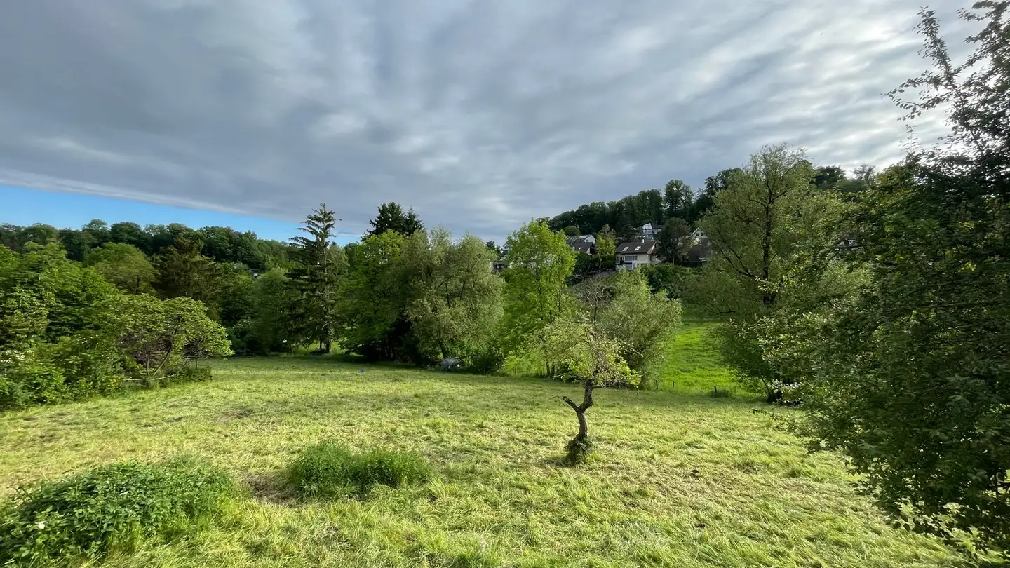 Einfamilienhaus kaufen - Bettingerstrasse 275, 4125 Riehen - Foto 3