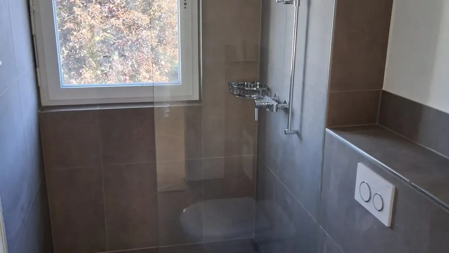 Penthouse for rent - Lehmgrubenweg, 4538 Oberbipp - Photo 4