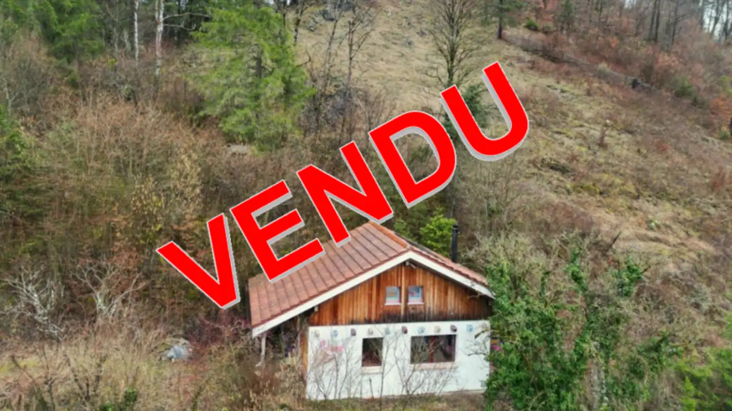 Single house for sale - Au Village 44, 2887 Soubey