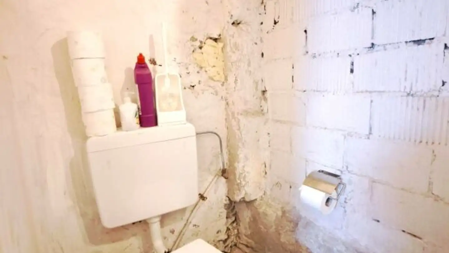 Mischgenutztes Gebäude mieten - Adlergasse 5, 8245 Feuerthalen - Foto 4