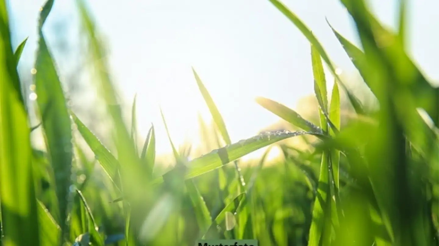 Property for sale - 6938 Vezio