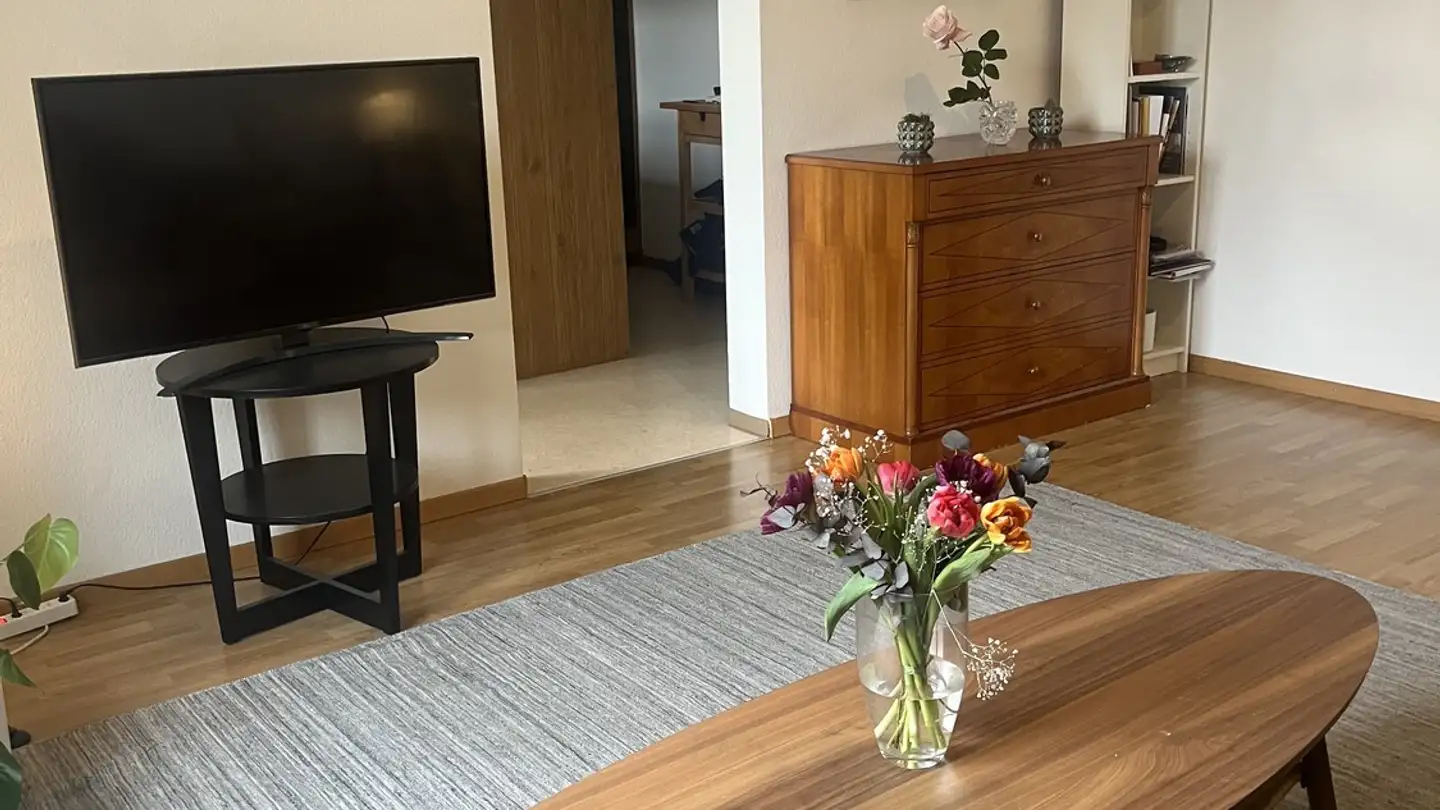 Appartamento in affitto - Dufourstrasse 161, 8008 Zürich