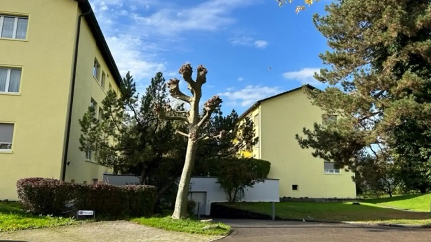 Appartement à louer - Im Maiacher 10, 8804 Au ZH