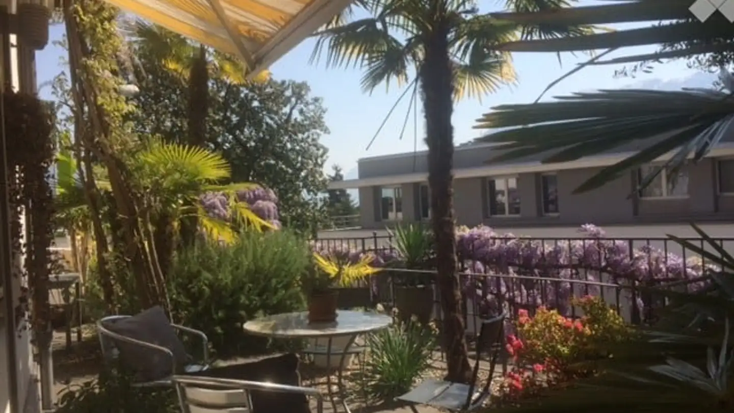 Wohnung mieten - Strada Collina 9, 6612 Ascona