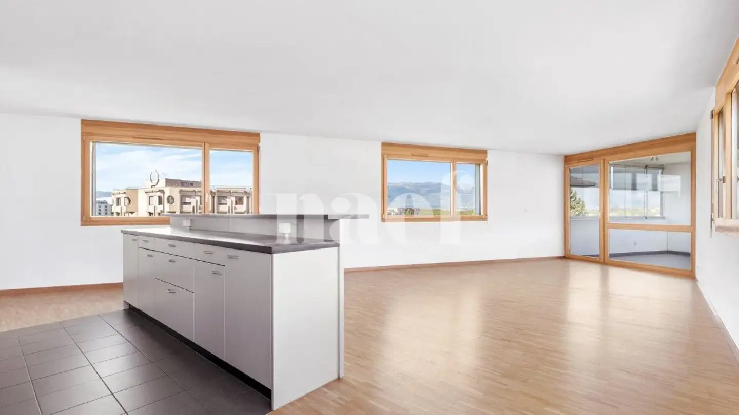 Appartamento in affitto - Route De Ferney 218, 1218 Le Grand-Saconnex - Photo 4