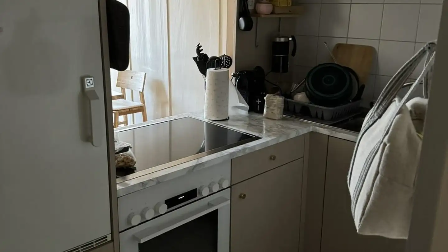 Appartamento in affitto - Unterstadt 29, 8200 Schaffhausen - Foto 4