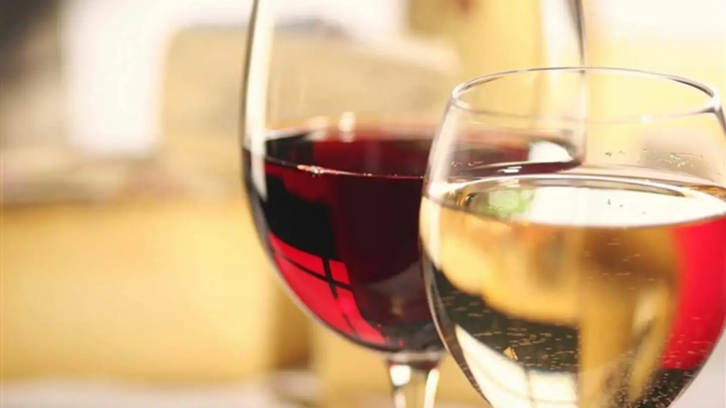 Azienda agricola in vendita - 1950 Sion - Foto 3