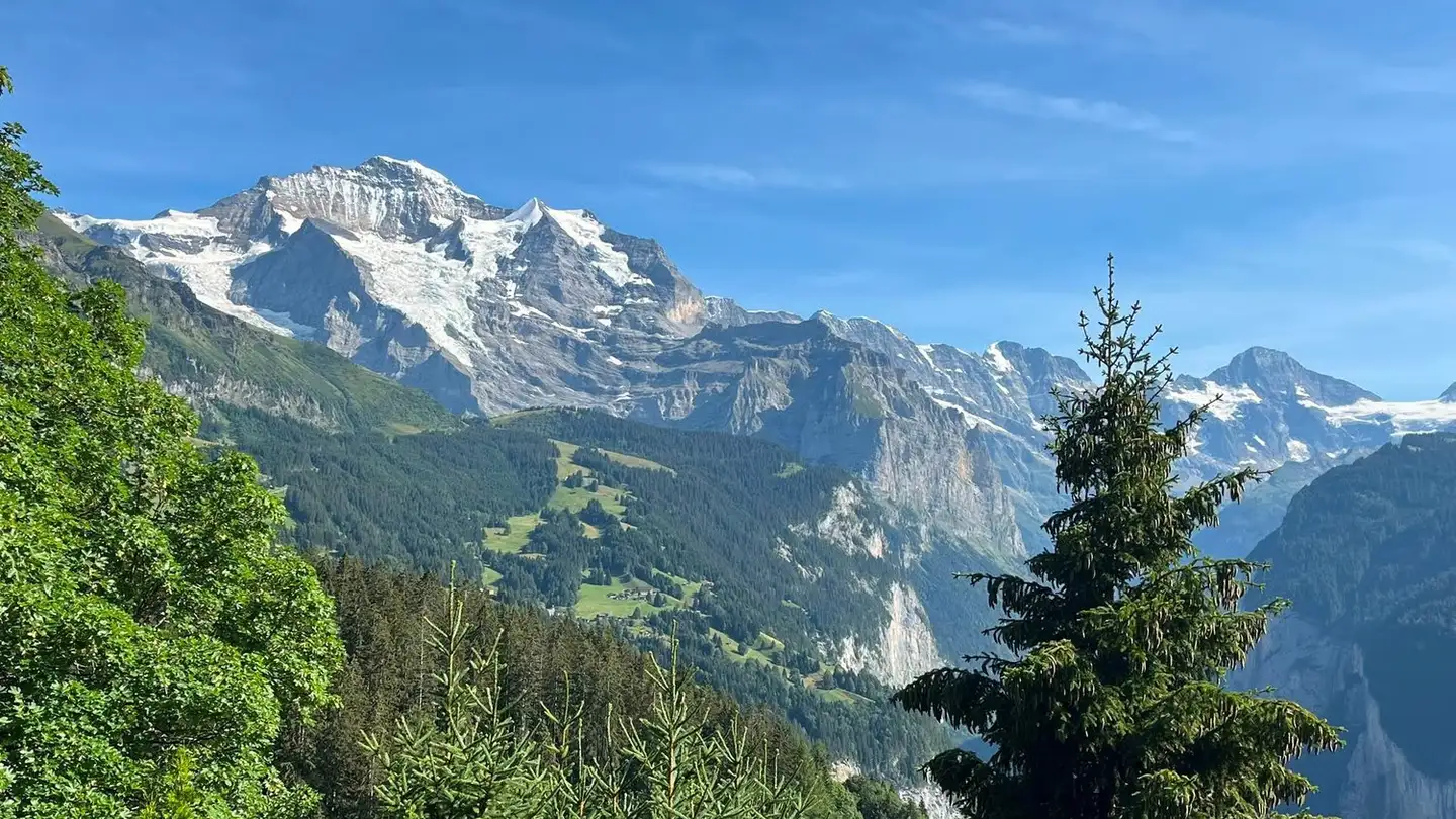 Chalet for sale - An Der Ledi 1556d, 3823 Wengen - Photo 2