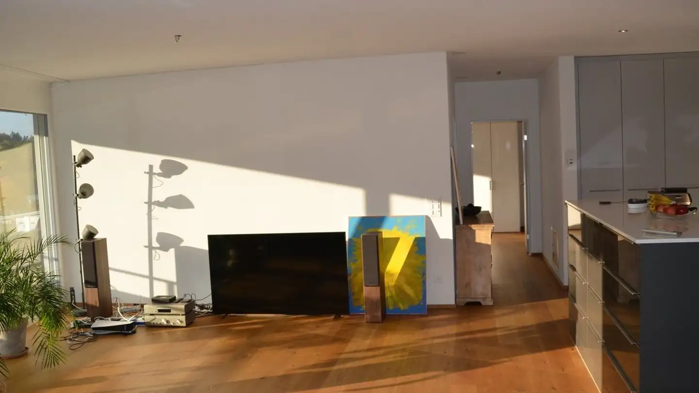 Appartement à louer - Moosstrasse 45, 8134 Adliswil