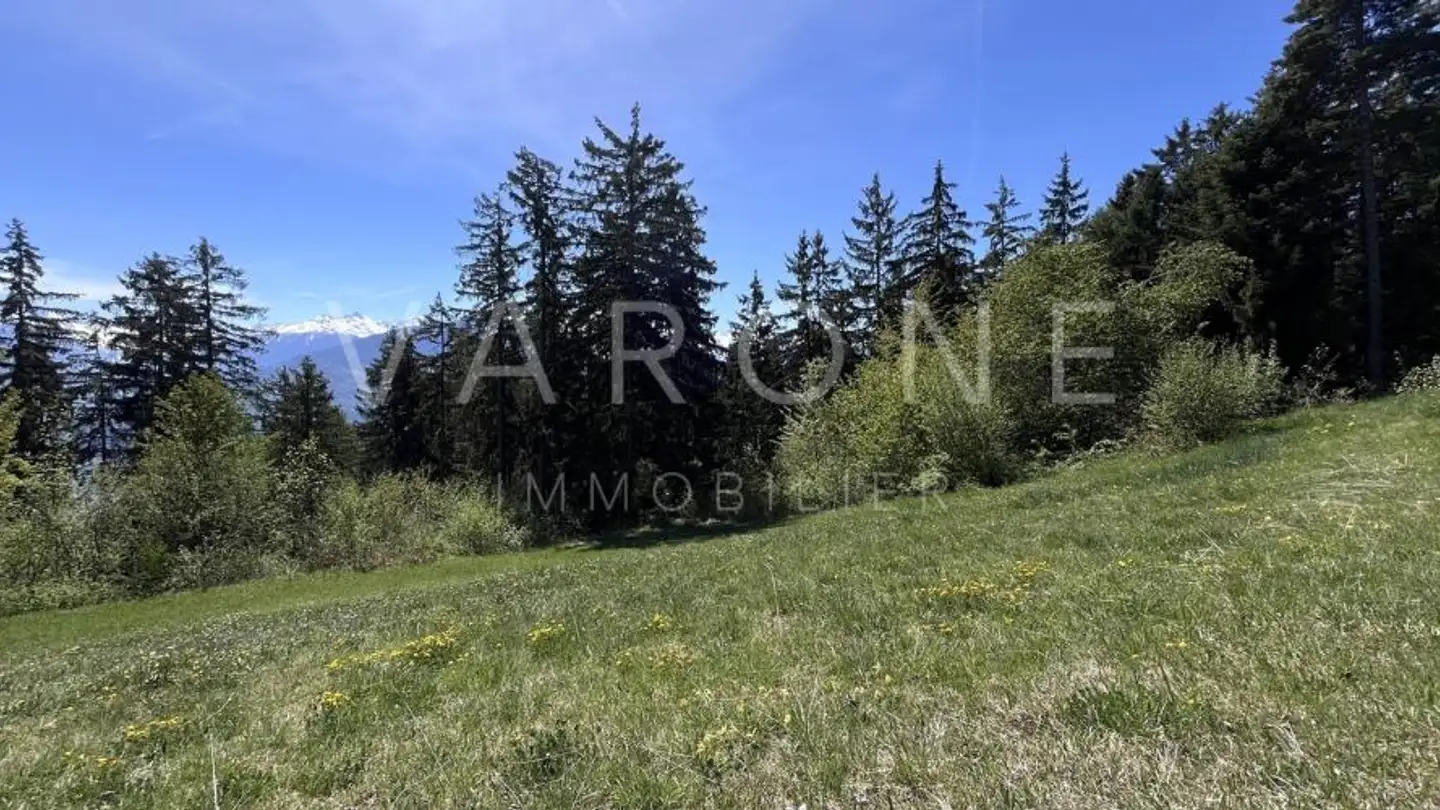 Terrain constructible à vendre - Chemin Des Mélèzes, 1965 Savièse - Photo 3