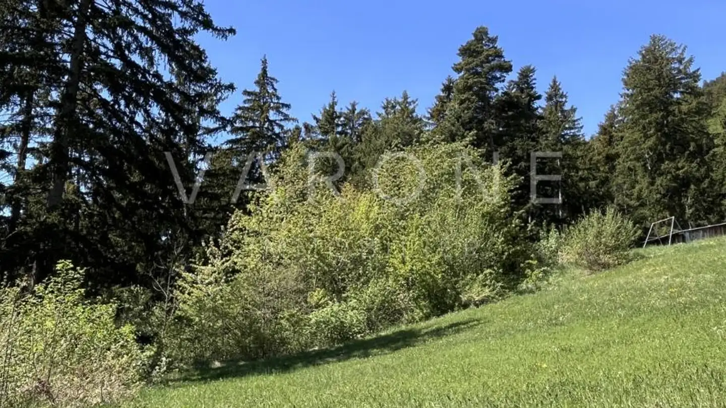 Terrain constructible à vendre - Chemin Des Mélèzes, 1965 Savièse - Photo 4