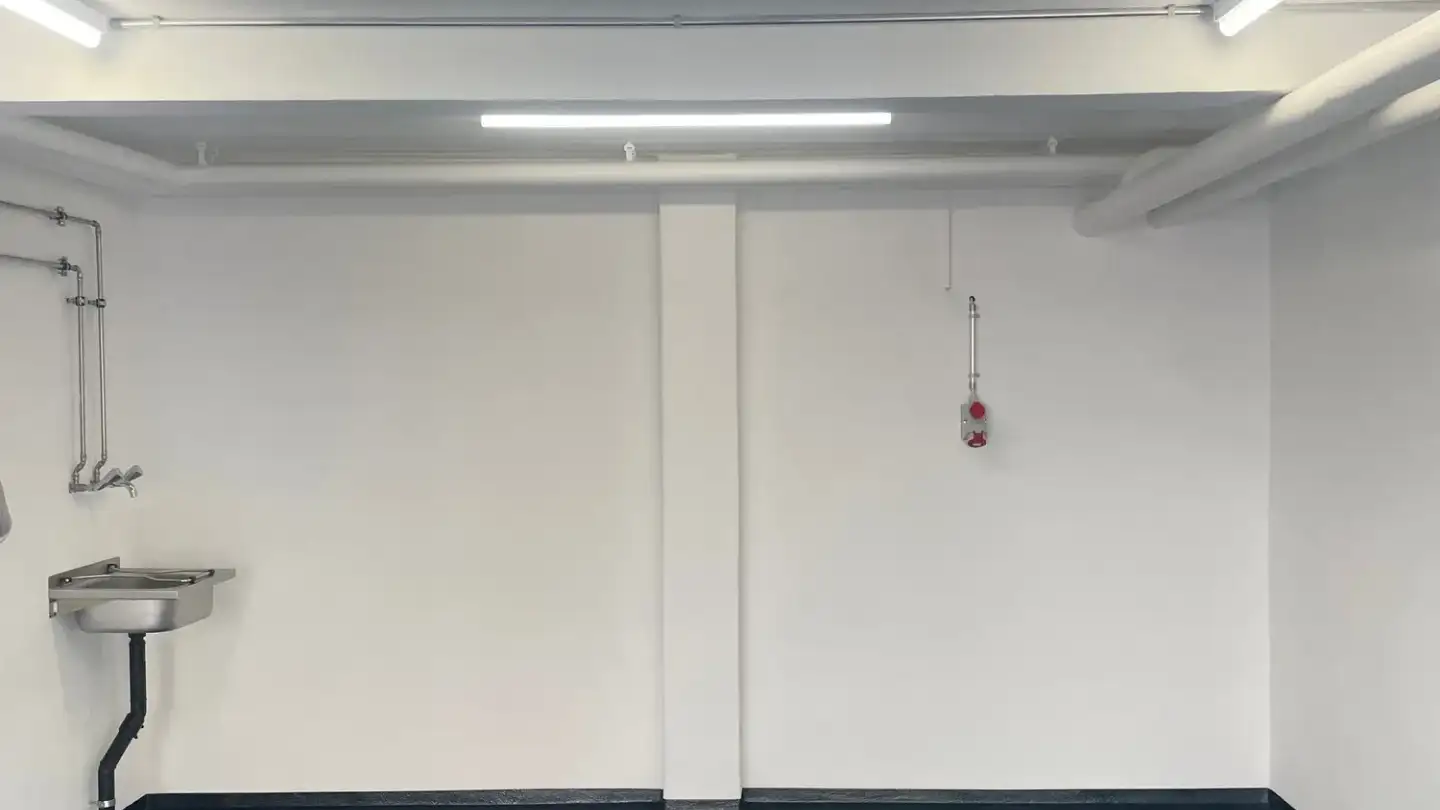 Einzelgarage mieten - Altstetterstrasse 174, 8048 Zürich - Foto 2