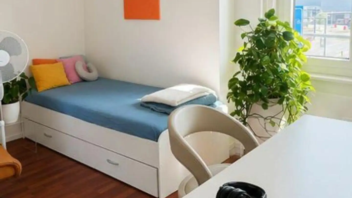 Appartement à louer - Zentralstrasse 44, 6030 Ebikon - Photo 4
