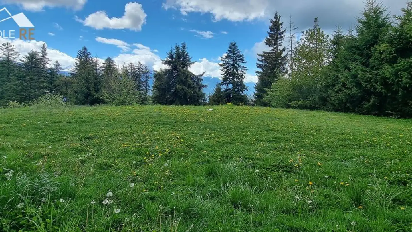 Apartment for sale - Rue du Pas-de-l'Ours 69, 3963 Crans-Montana - Photo 3