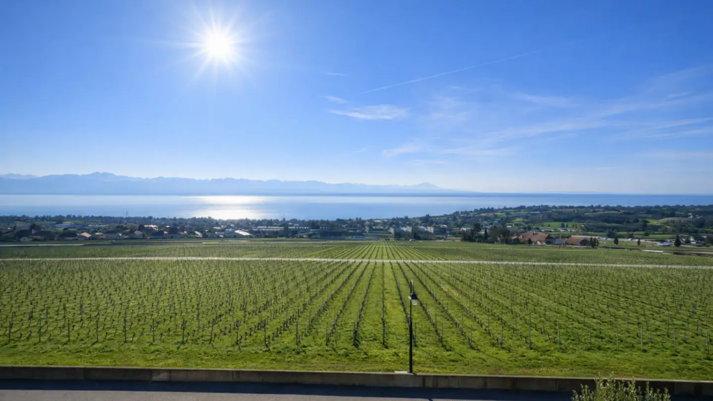 Attique à vendre - 1185 Mont-sur-Rolle