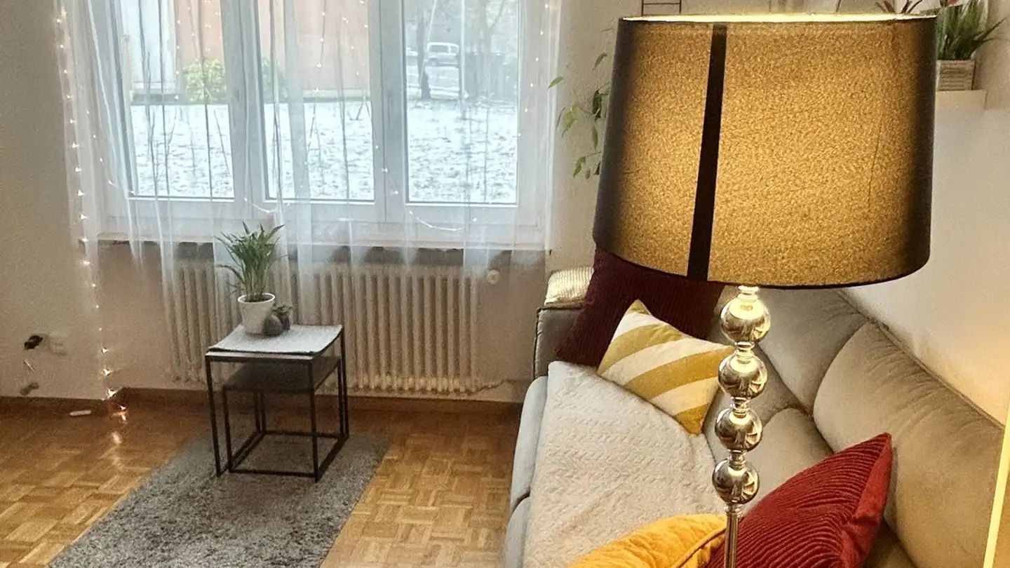 Appartamento in affitto - 8047 Zürich